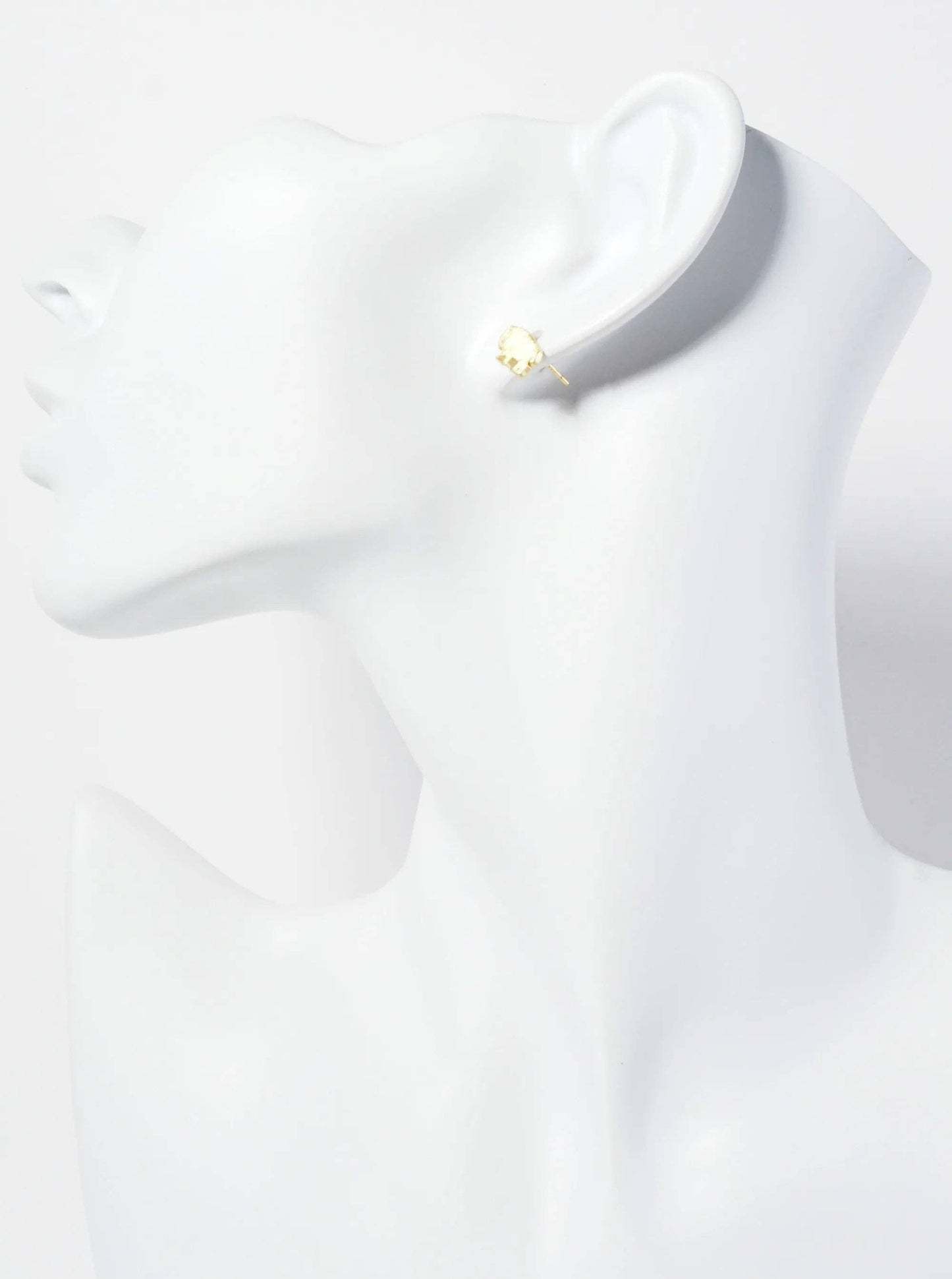 Heart of a Bison Studs
