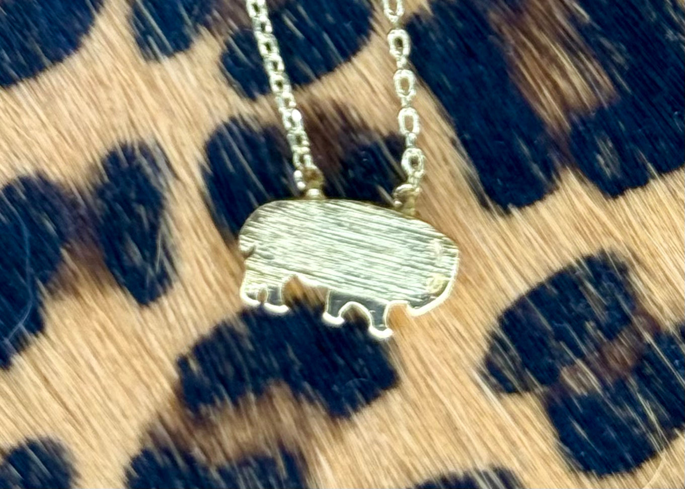Heart of a Bison Necklace